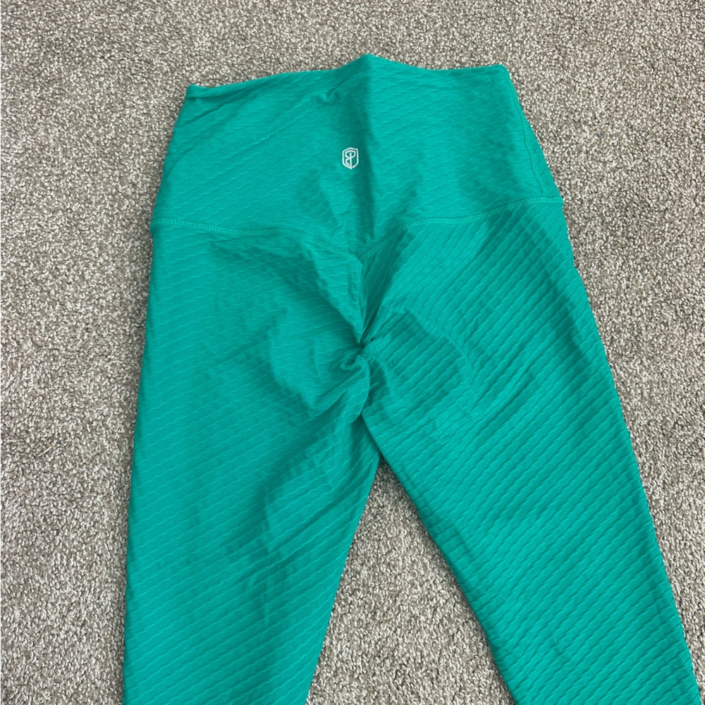 Paragon Leggings (Envy)